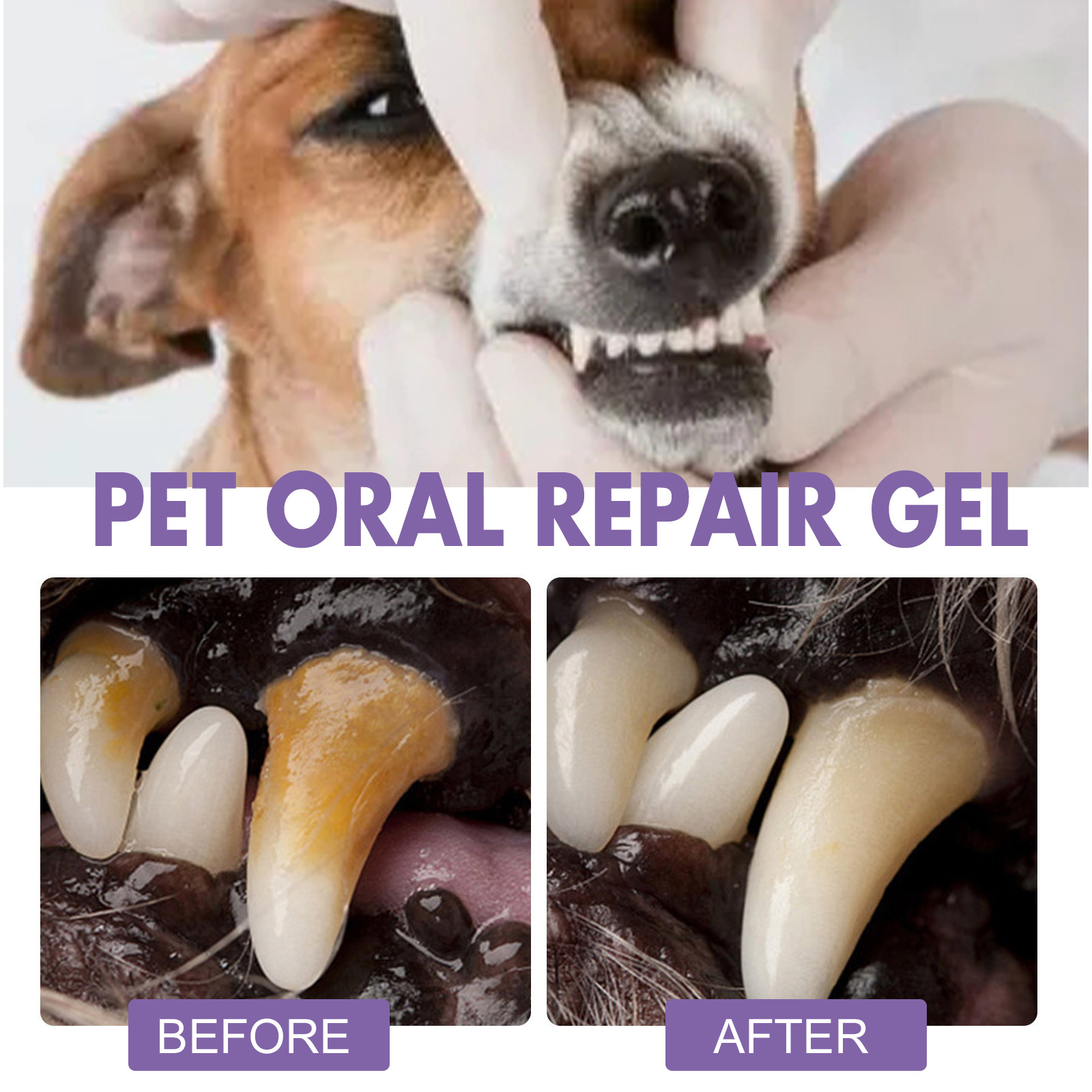 ペット口腔修復ジェル子犬歯石除去消臭剤白くする猫犬歯ステイン - Teeth Whitening Price のレビューと価格
