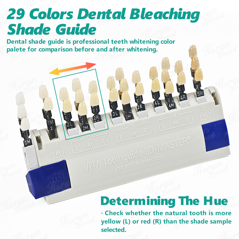 Vita 3D マスター歯科ラボ漂白シェードガイド 29 色 - Teeth Whitening/Bleaching のレビューと価格