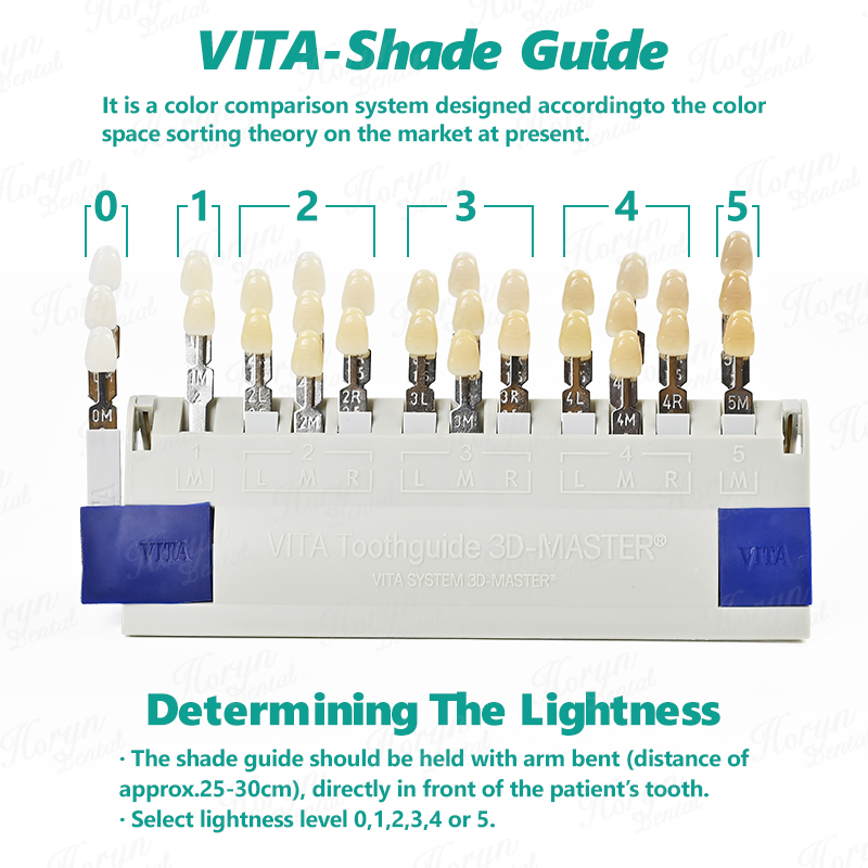 Vita 3D マスター歯科ラボ漂白シェードガイド 29 色 - Teeth Whitening/Bleaching のレビューと価格